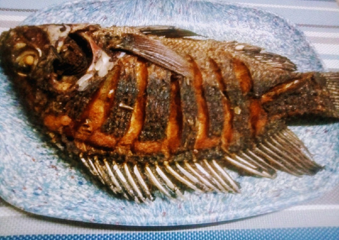 Tilapia 400